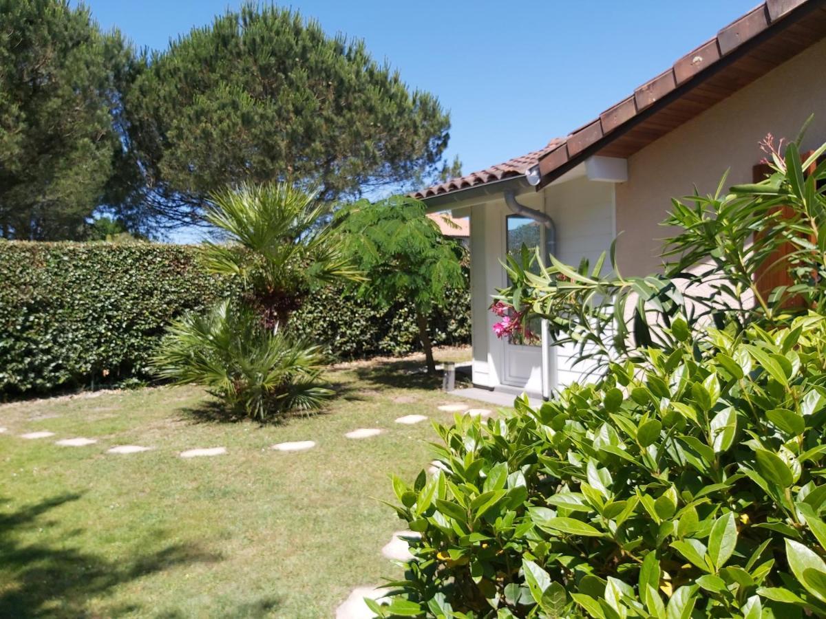 Le Soleil Couchant Angresse Exterior foto